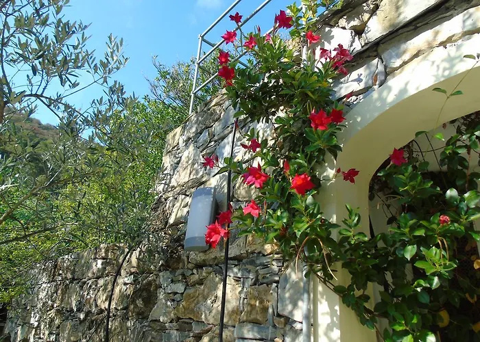 Lägenhet Dependance Belvedere *