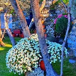 Apartamento Dependance Belvedere