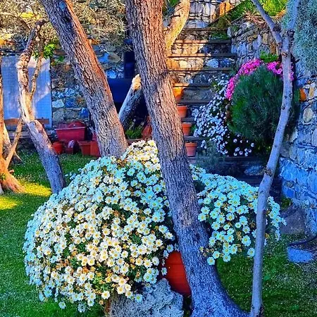 Apartamento Dependance Belvedere