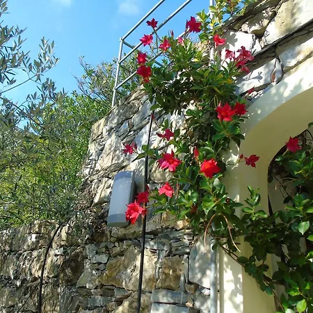 Apartamento Dependance Belvedere *