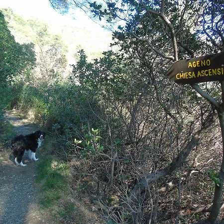 Dependance Belvedere * Recco