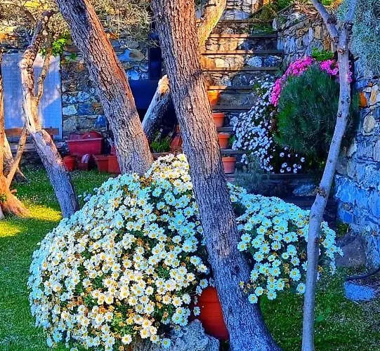 Lägenhet Dependance Belvedere