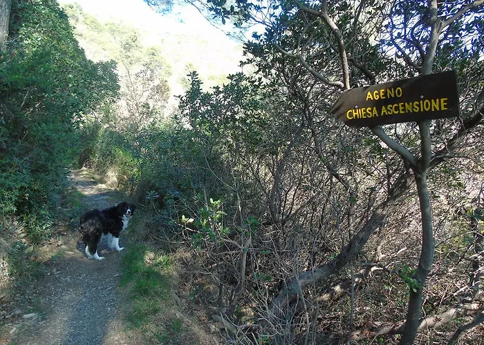 Dependance Belvedere * Recco