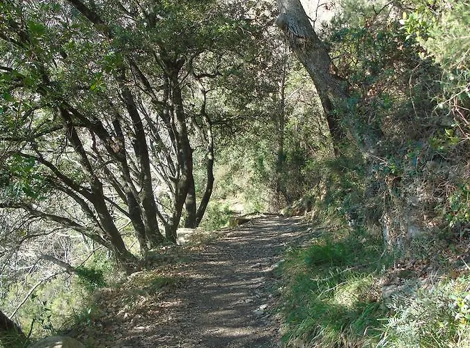 Dependance Belvedere